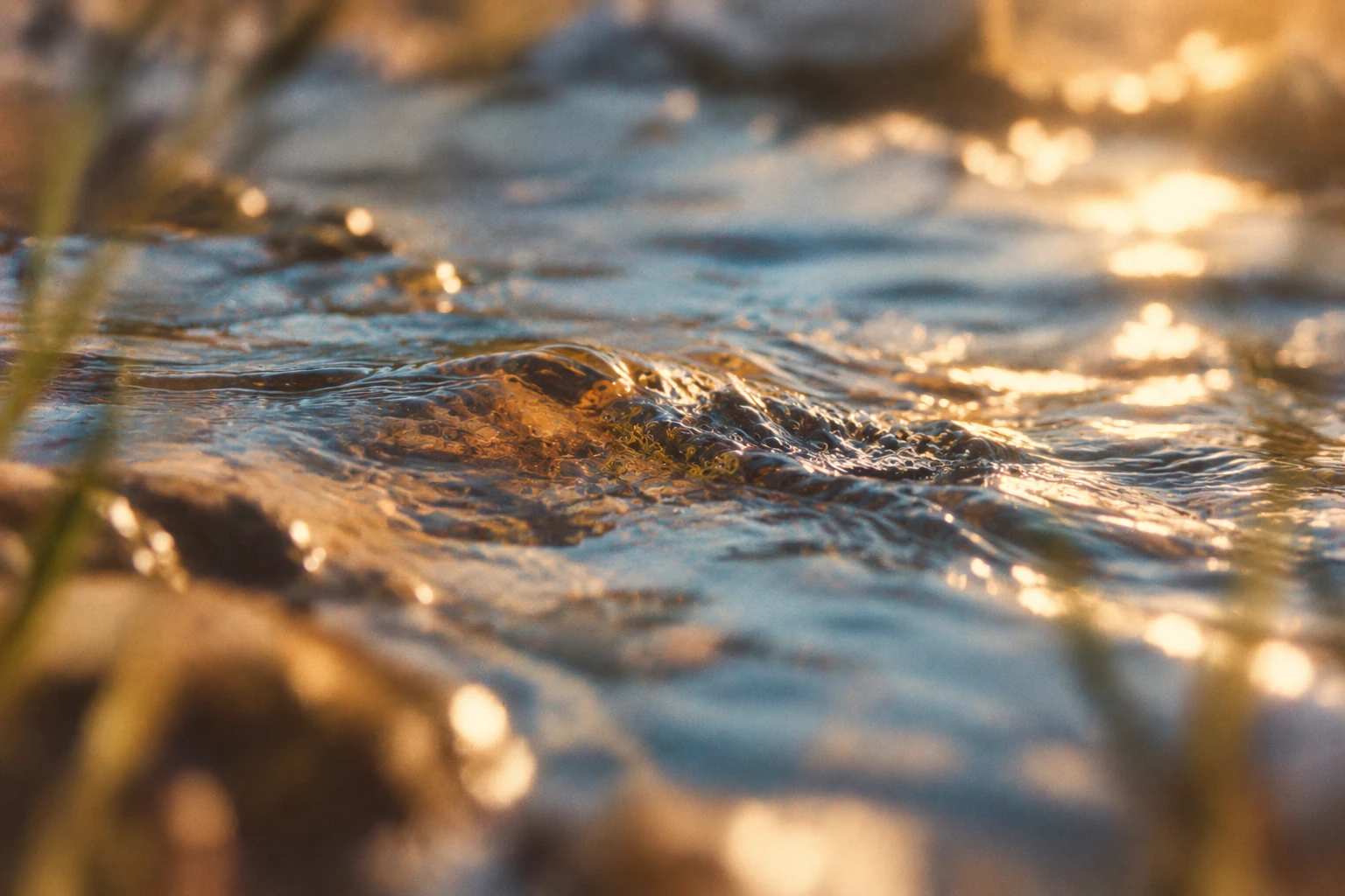 A shallow creek flows over a stone, reflecting warm sunlight and blue sky.