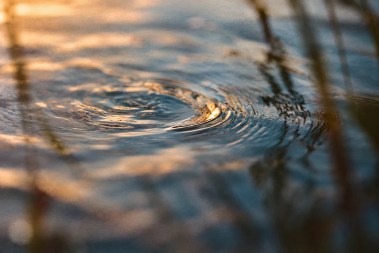 Soft concentric ripples catching warm sunlight on blue water.