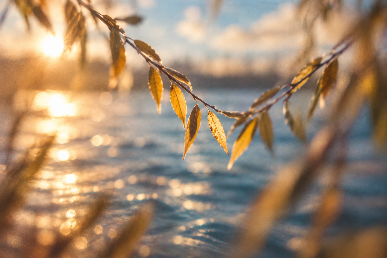 Two slender leafy branches cross above sunlit blue water.